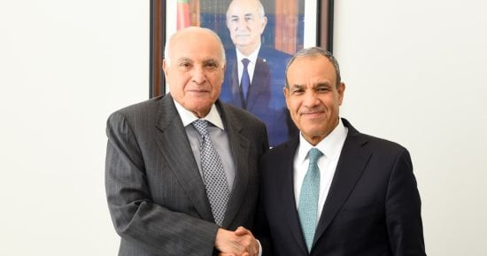 وزير الخارجية يبحث مع نظيره الجزائرى دفع التعاون والتنسيق إزاء القضايا الإقليمية