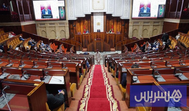 فريق مشترك يجمع "الحصان" و"النخلة"