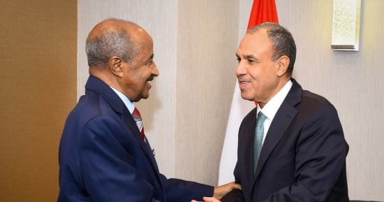 وزير الخارجية ونظيره الإريتري يبحثان سبل تعزيز العلاقات الثنائية والتنسيق إزاء القضايا الإقليمية