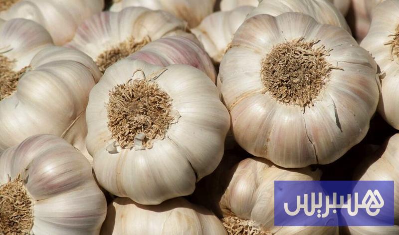 الثوم يفاقم خلافات المغرب وإسبانيا