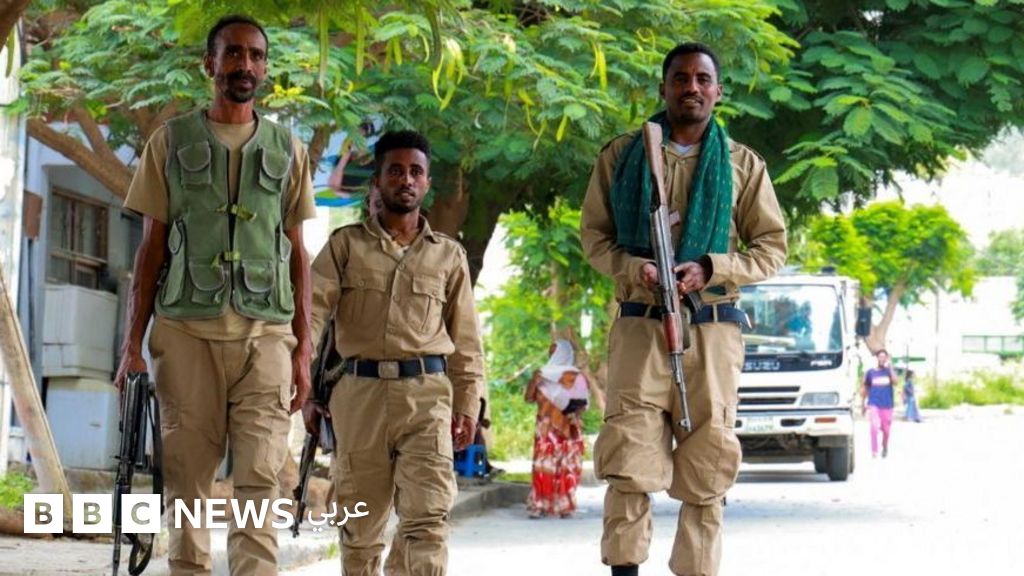 الصراع في إثيوبيا: اتهامات تنفيها مصر والسودان بدعم خصوم أبي أحمد