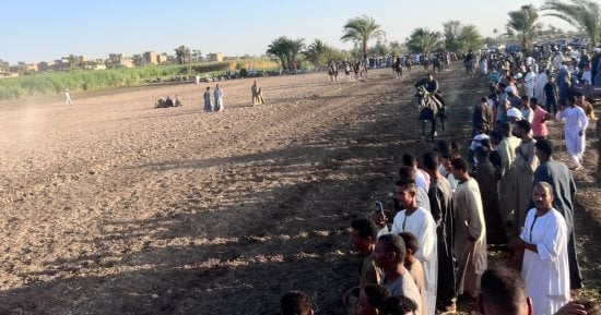 على مساحة فدانين.. شاهد أكبر مرماح للخيل بقرية العليقات في قنا