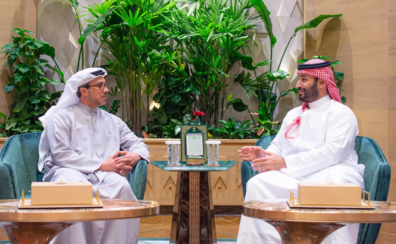 لقاء محمد بن سلمان ومنصور بن زايد يثير ردود فعل قوية