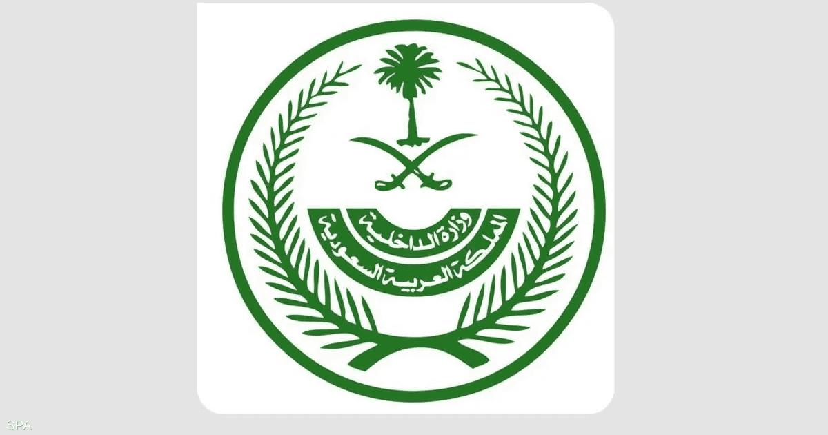 السعودية تعلن نتائج أولية لتحقيقات حادثة "فلاي دبي"