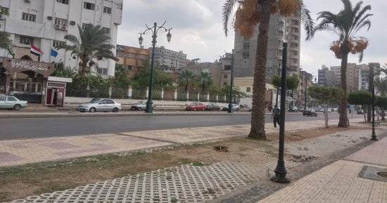أمطار كثيفة ورياح محملة بالأتربة.. طقس سئ يضرب دمياط.. فيديو
