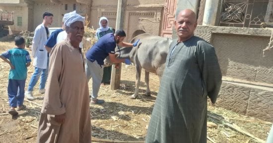 طب بيطرى سوهاج ينظم قافلة بيطرية بقرية الكوامل قبلى فى المنشاة
