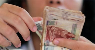 33 مليار للرجال مقابل 40 للنساء.. توزيع خريطة التمويل متناهي الصغر في مصر