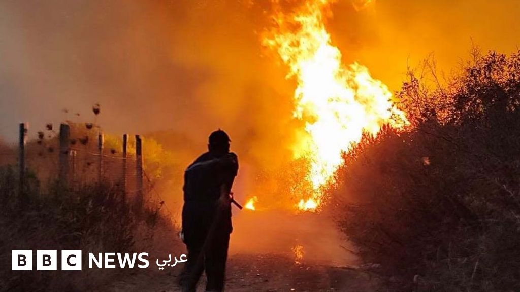 الجزائر تقر عقوبة الإعدام لمفتعلي حرائق الغابات
