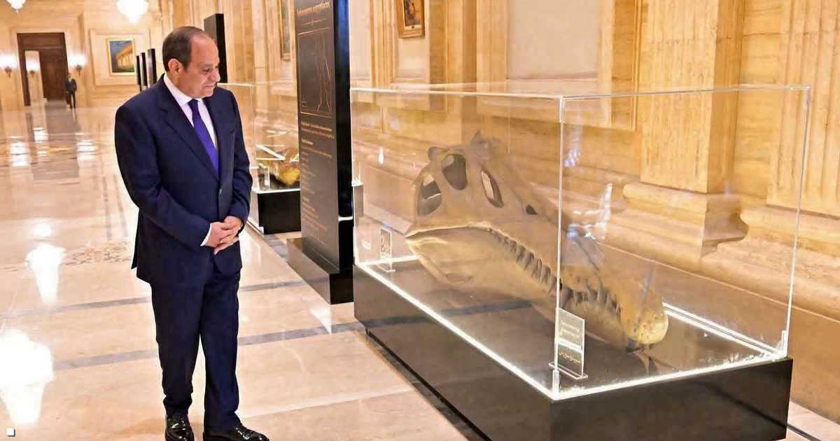 عمرها 100 مليون عام.. قطعة نادرة تستوقف السيسي