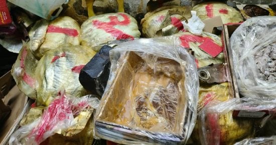 ضبط 2.5 طن أسماك مملحة فاسدة بمخزن غير مرخص بشبرا الخيمة