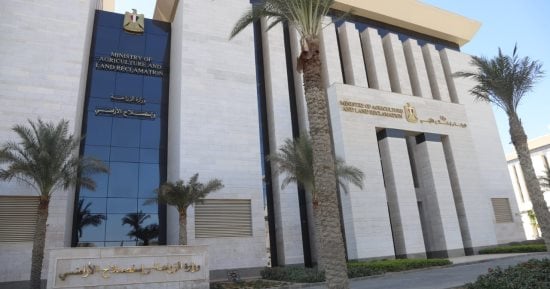10.5 مليون فدان ترسم خريطة جديدة للرقعة الزراعية لدعم الأمن الغذائى