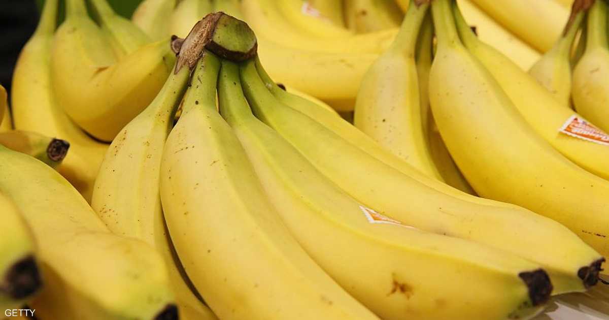 موزة واحدة ونتيجتان مختلفتان.. انتبه إلى درجة نضجه