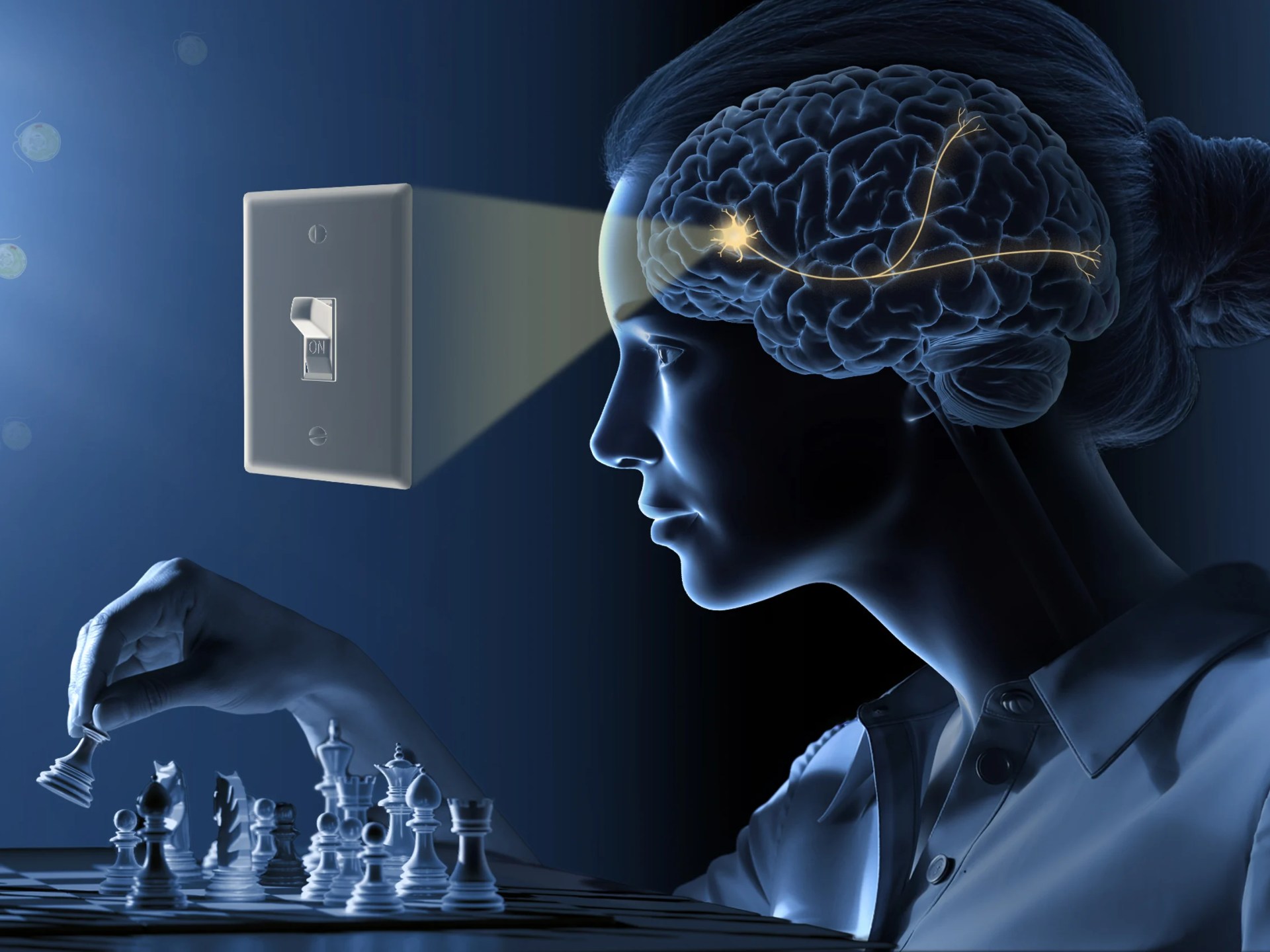 نوبل للطب 2026 تحكم في الدماغ