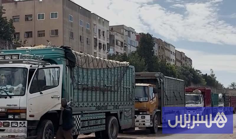 غلاء النقل يهدد أسعار الخضر في مصر اليوم الثلاثاء 6 أكتوبر 2026