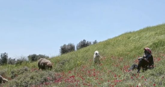 فيلم Concrete Land بمهرجان لندن السينمائى.. عائلة فلسطينية تواجه معاناة التهجير