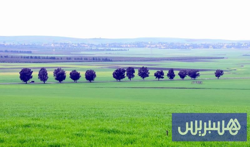 توقعات طقس اليوم الأربعاء بالمغرب