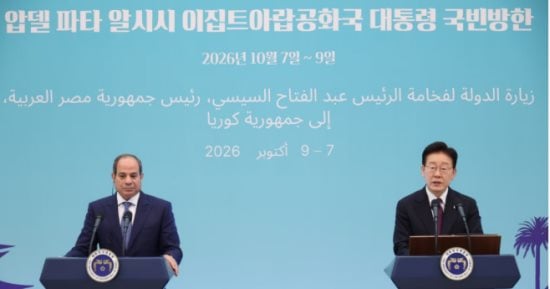 الرئيس السيسى: الارتقاء بالعلاقات مع كوريا الجنوبية للشراكة الاستراتيجية