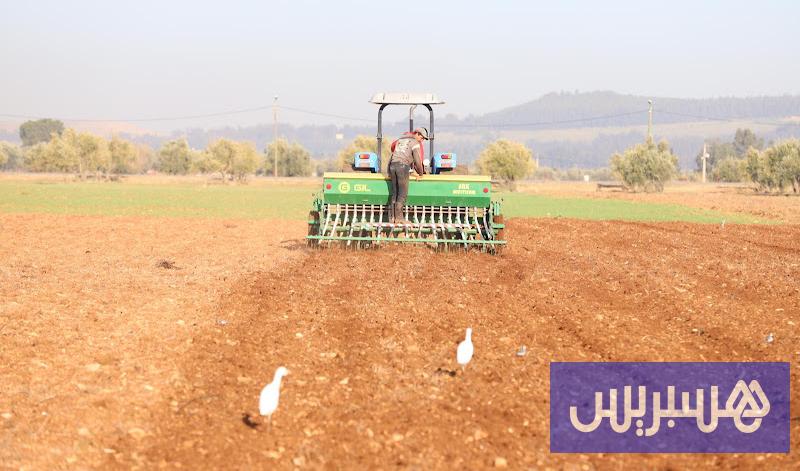 الأمطار تبعث الأمل في موسم الحبوب .. والحرارة تثير مخاوف الفلاحين