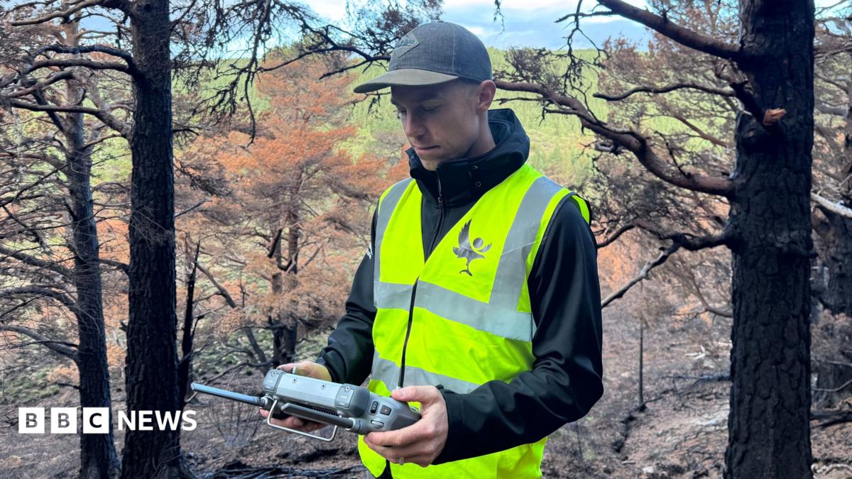 كيف تصطاد الطائرات بدون طيار الحرائق المخبأة تحت Cairngorms