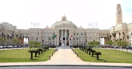 تمهيدًا لمنتدى مصر 2026.. جامعة القاهرة تُشرك 39 خبيرًا لخريطة ملف الاقتصاد