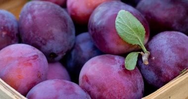 هذه الفاكهة الخريفية تحمى قلبك وتخفض الكوليسترول وتدعم ضغط الدم