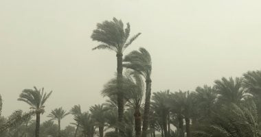 الأرصاد تحذر: أمطار ورياح مثيرة للأتربة الأربعاء.. وانخفاض الحرارة الخميس
