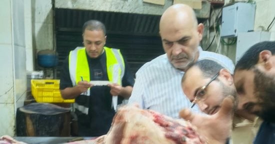 ضبط 11 ذبيحة لحوم ضأن مذبوحة خارج المجازر وكبدة وعجينة كفتة غير صالحة للاستهلاك بشبرا الخيمة.. صور