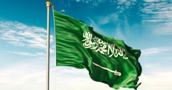 تفويض لمحافظ المركزي السعودي للتعاون مع مصر فى الرقابة المالية