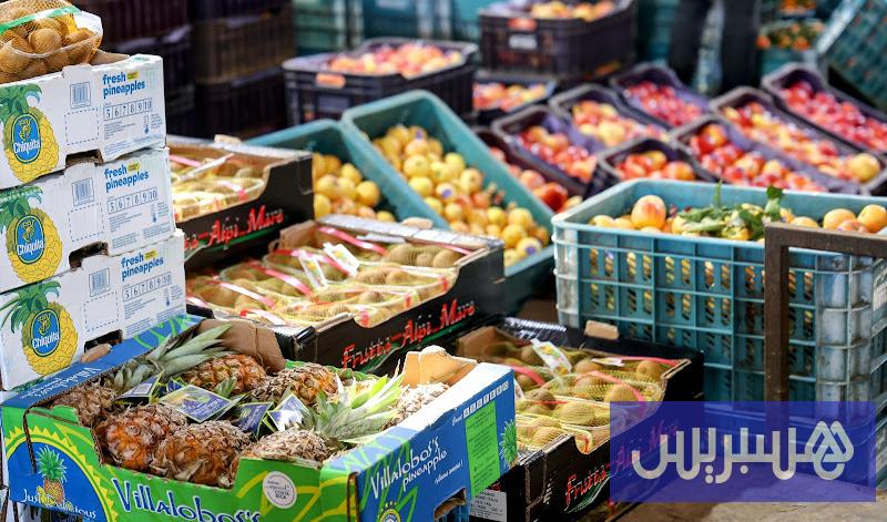 المغرب يتصدر قائمة موردي إسبانيا بالخضر والفواكه بـ982 مليون يورو