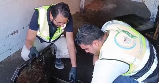 محافظ الغربية: ضبط 16.5 طن زيت وملح غير صالح للاستهلاك الآدمي