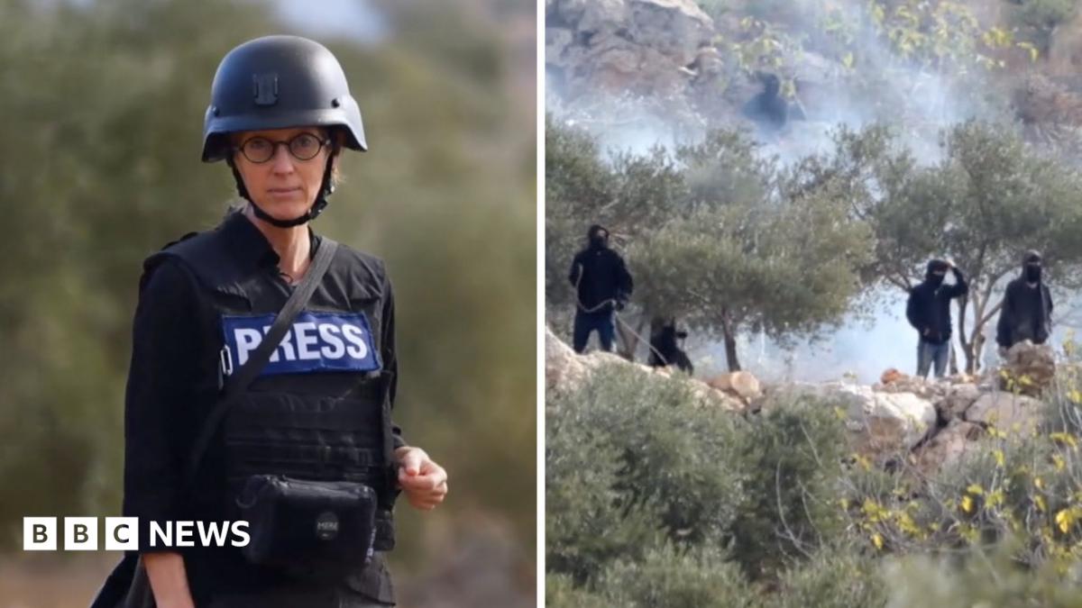 مستوطنون إسرائيليون يهاجمون فلسطينيين في الضفة الغربية أثناء قطف الزيتون