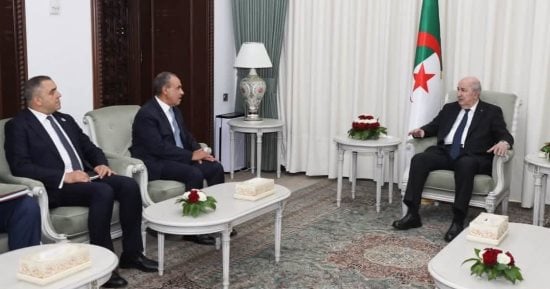 وزير الخارجية يبحث مع الرئيس الجزائري الجهود المبذولة لاحتواء التوتر الإقليمى