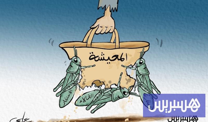 من الفلاح إلى المستهلك .. هل تُنهي الشركات الجهوية أزمة المضاربة؟