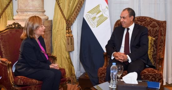وزير الخارجية يستقبل نائبة رئيس بنك الاستثمار الأوروبي